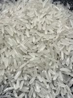 5451 Rice