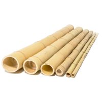 Center bamboo stakes are on sale today: From Vietnam