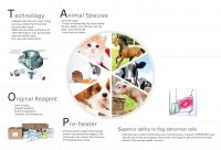 Automated 5-Part Differential Veterinary Hematology Analyzer_TEK-VET5