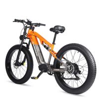 Electric Bicycle From China