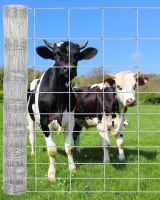 Cowshed Net,cowshed Fence ;metal Fence