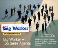 Gig Worker â€“ Top Sales Agent
