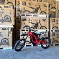 New 2025 SURRON LIGHT BEE X Electric Dirt Bike