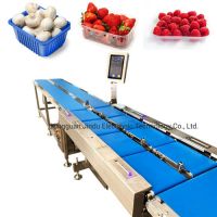Strawberry, Raspberry, Mushroom Weighing Packing Production Line From China