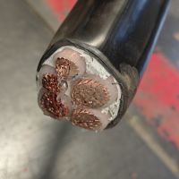 0.6/1kV copper core XLPE insulated PVC sheathed cable From China