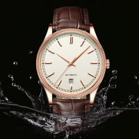 Mechanical Watch Source Factory - Automatic Mechanical