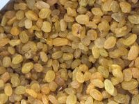 Dried fruits, legumes and nuts from Uzbekistan