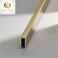 Aluminum Brass Brushed Aluminum Listello Tile Trims