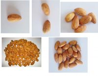 Premium Quality Raw Almond Kernels - Nonpareil Grade 1 (AAA) - Wholesale Bulk Supplier