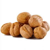 Premium Walnuts Supplier Inn Wholesale Price