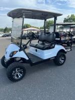 Wholesale Electric and Gas Golf Carts for Fleet Buyers & Dealers