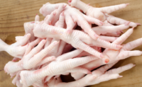 Frozen Chicken Feet  Wholesale Poultry Supply for Export From Thailand