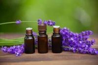 Pure Essential Oils &acirc;�� Lemongrass &amp; Lavender Bulk Supply
