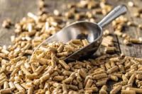 Eco-Friendly Biomass Wood Pellets for Renewable Energy Applications