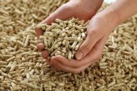 High-Energy Biomass Wood Pellets for Boilers and Furnaces