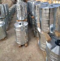 Stainless steel strip