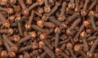 Quality dried cloves 