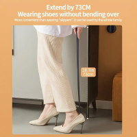 Magnetic extended shoehorn