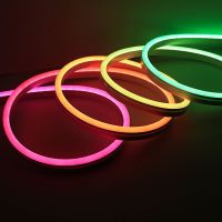 Midooc Group Smart Neon Strip Lights IP67 Waterproof Led Neon Tube Light Voice Control 8mm PCB for Indoor Outdoor 