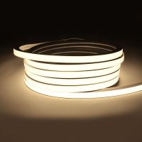 Midooc Group Flexible Silicone Outdoor Neon Light Strip 24V 5M 10M Roll Dot-Free 1010 1212 1616Mm Waterproof Led Neon Rope Lights From China