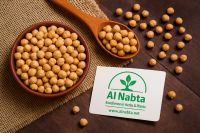 Premium Dried Jute Mallow (Molokhia)    Dried Mint   basil herbs  Chamomile Flower  Chickpea Seeds From Egypt