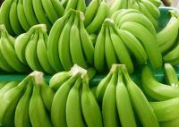 Fresh Cavendish Bananas For Export &acirc