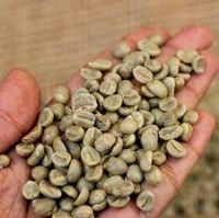 ARABICA  COFFEE BEANS