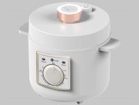  2 Liters Plastic Housing Touch and Knob Dual Controller Intelligent Mini Electrical Pressure Cookers with a Handle