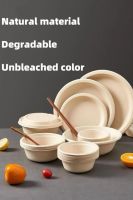 Bagasse plates From India