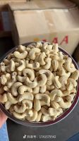 Kernel cashew nut from Vietnam, Contact us via WhatsApp now: +84 848266788 (Ms Thi)