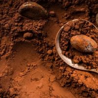 Factory Price High Quality 10%-12% Alkalized Cocoa Powder Raw Material Cacao Powder