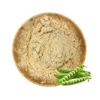 Vegan Protein Powder Pea Protein Isolated 80%for Sport Supplement Powder From China