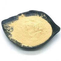 Food Additive Egg Yolk Lecithin Powder CAS 93685-90-6 Egg Yolk Lecithin From China
