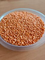 Red Lentils From Russia