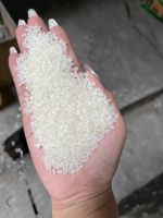 VIETNAMESE JAPONICA RICE 5% BROKEN