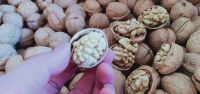 Xinjinag Walnut