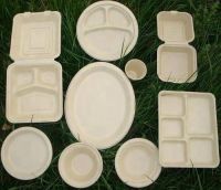Bagasse plates From India