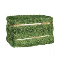 Alfalfa Hay From Cameroon