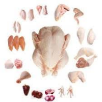 Frozen Chicken Parts / Gizzards / Thighs / Feet / Paws / Drumsticks/ Wings From India