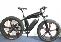  Mountain Bike Top Quality Electric Bike