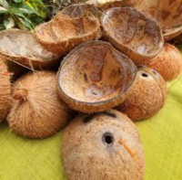 Coconut Shell Wholesale Supplier Export Quality From Germany