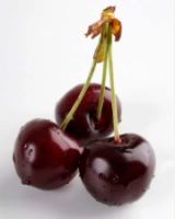 Fresh Cherries Wholesale Supplier Export Quality From Germany