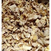 Wholesale German Fresh Young Frozen Vegetable Food Air Dry Dried Pickled Slice Dehydrated From Germany