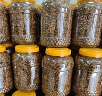 High Protein Dried Mealworms Natural Animal Food and Fish Food Grain Free Packaged in a Bag From Germany