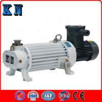 Dry Screw Pump Vacuum for Food Beverage Dairy Chemical Heavy Fuel From China
