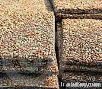 RAW MATERIALS - such as Cotton Seed Cake, Wheat Bran, Wheat Pollard, M From Kenya