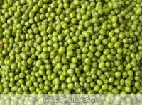 Green Mung Beans for sale From South Africa