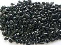 Organic Black Kidney Beans,100% organic Black Kidney beans From South Africa