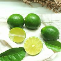 Premium Seedless Lime From Vietnam