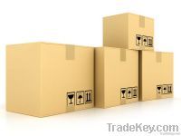 Regular Slotted Container RSC From Lebanon